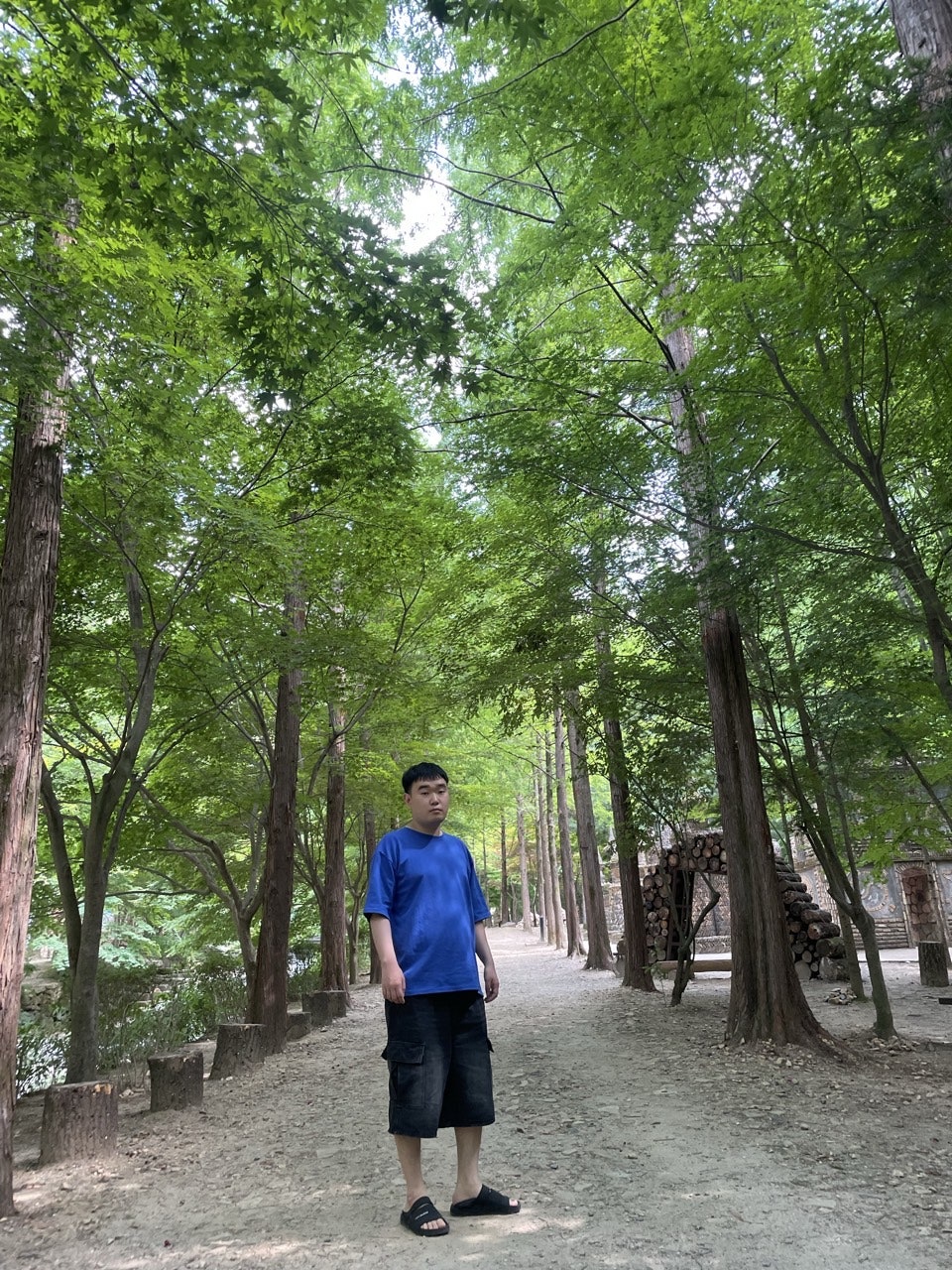 사용자가 올린 이미지