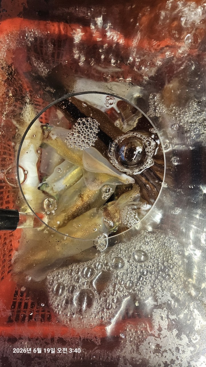 ����ڰ� �ø� �̹���