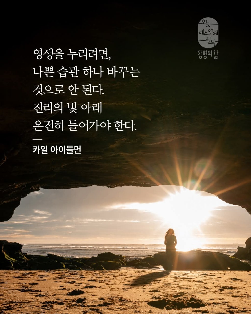 ����ڰ� �ø� �̹���