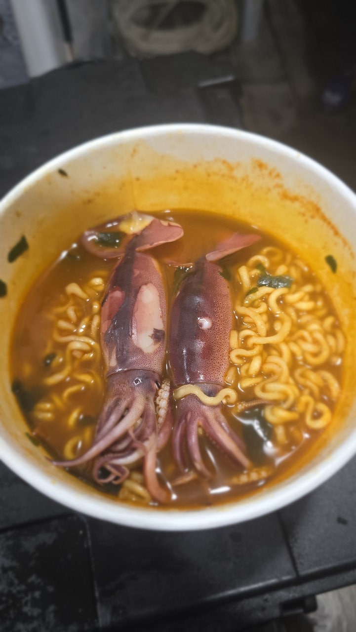 ����ڰ� �ø� �̹���
