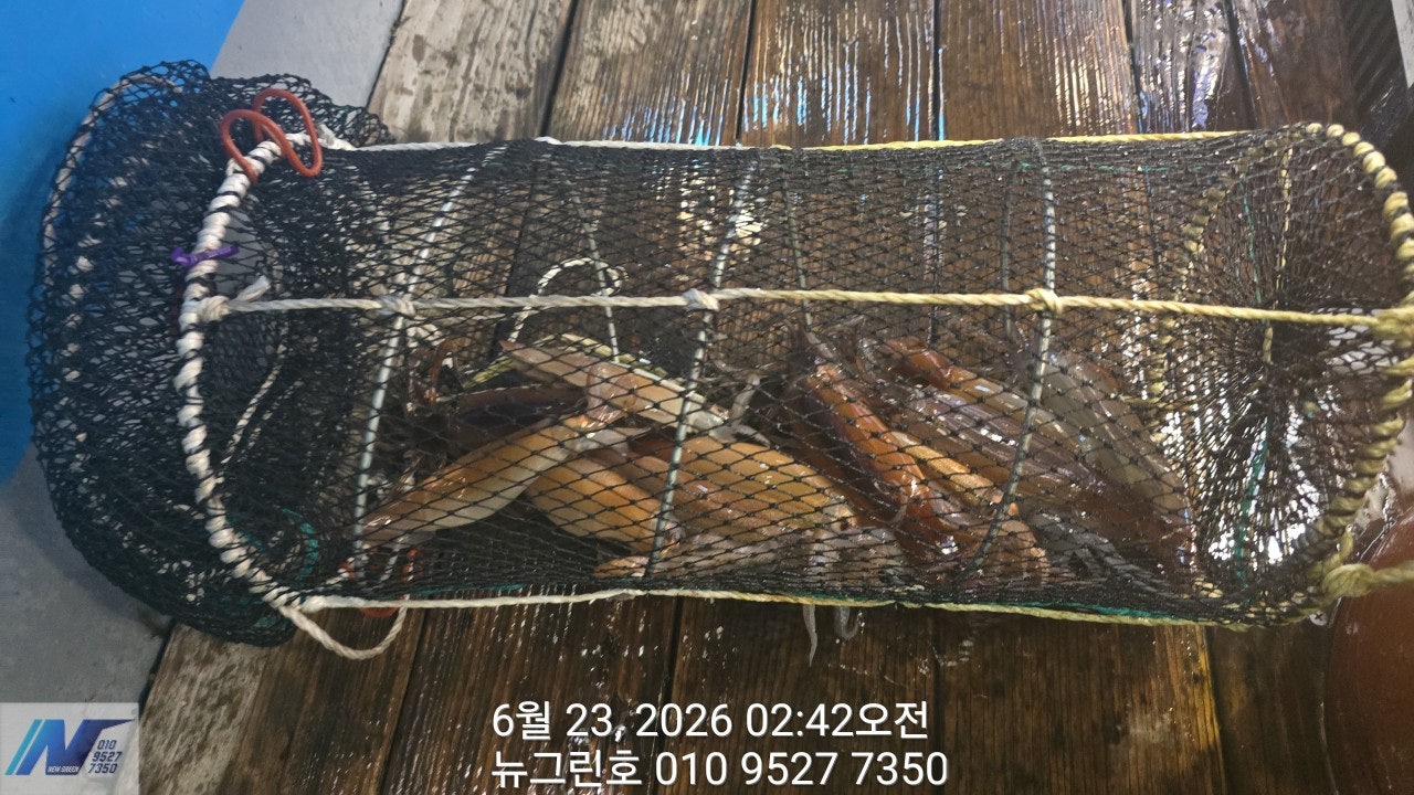 ����ڰ� �ø� �̹���
