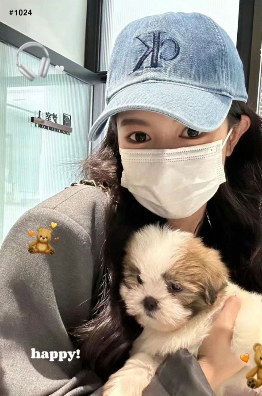 사용자가 올린 이미지