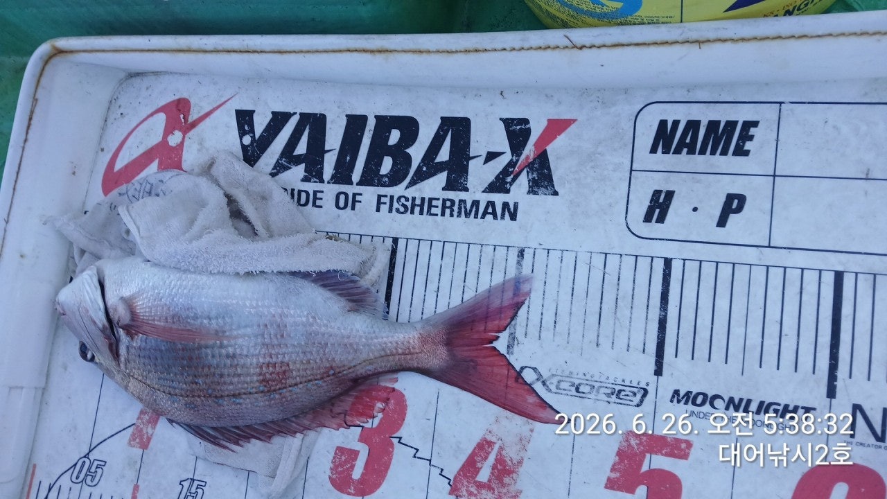 ����ڰ� �ø� �̹���