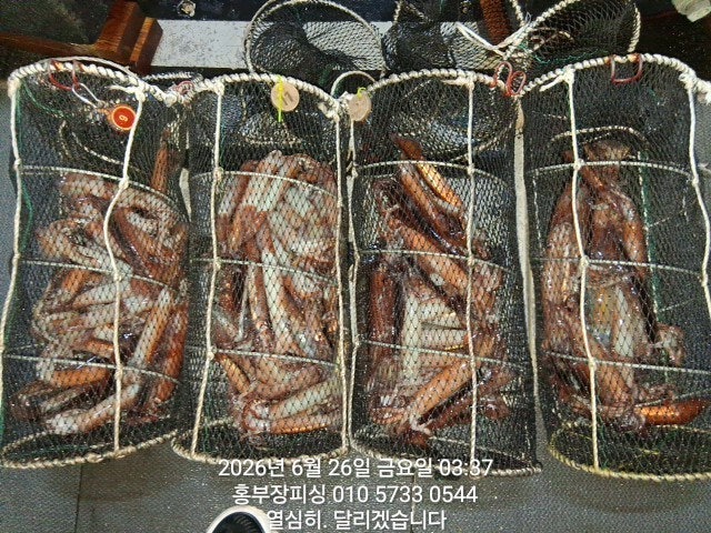 ����ڰ� �ø� �̹���