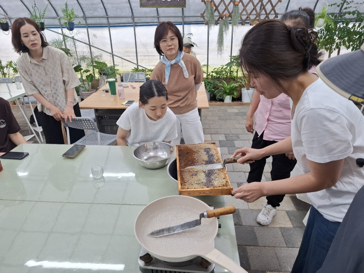 사용자가 올린 이미지