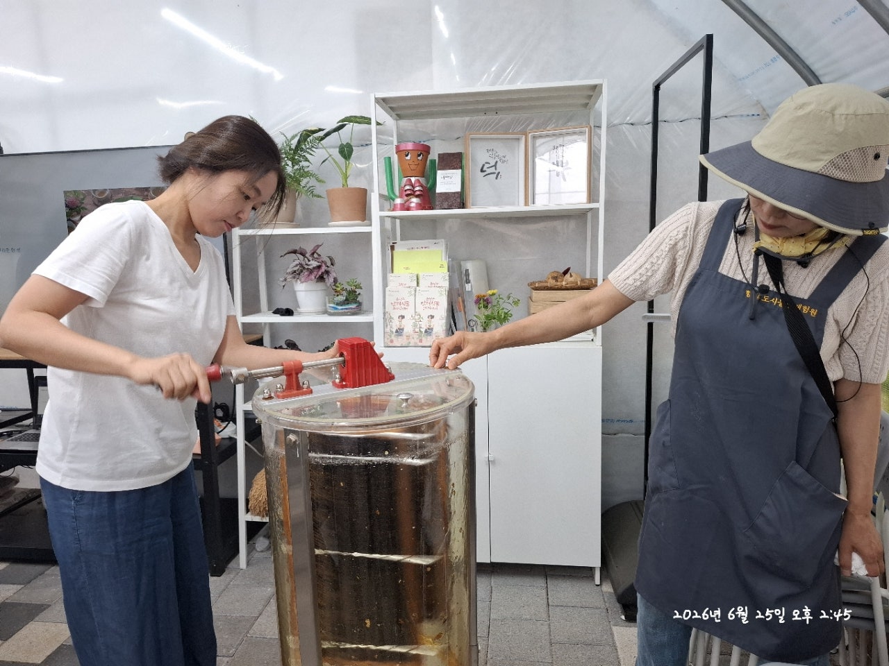 사용자가 올린 이미지