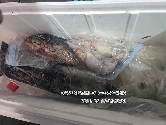 ����ڰ� �ø� �̹���