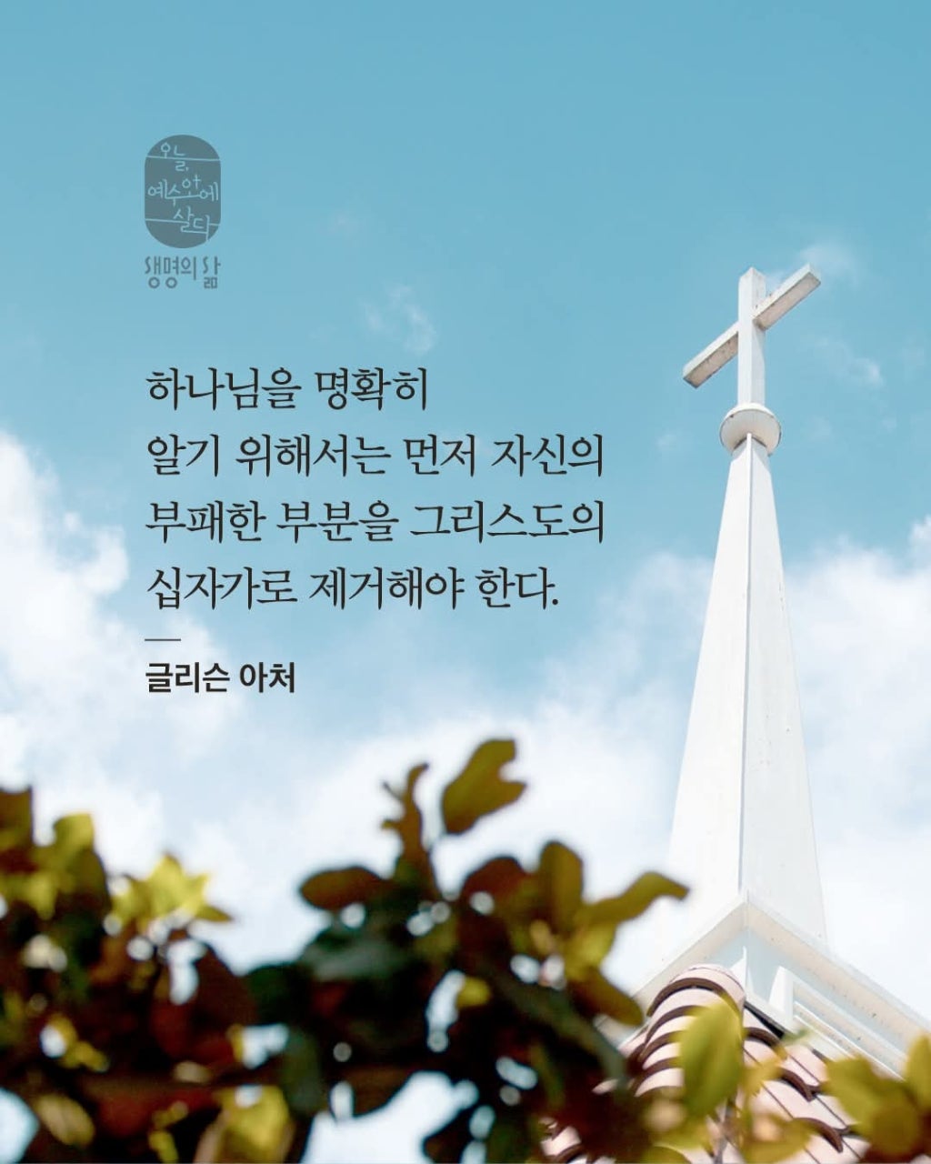 ����ڰ� �ø� �̹���