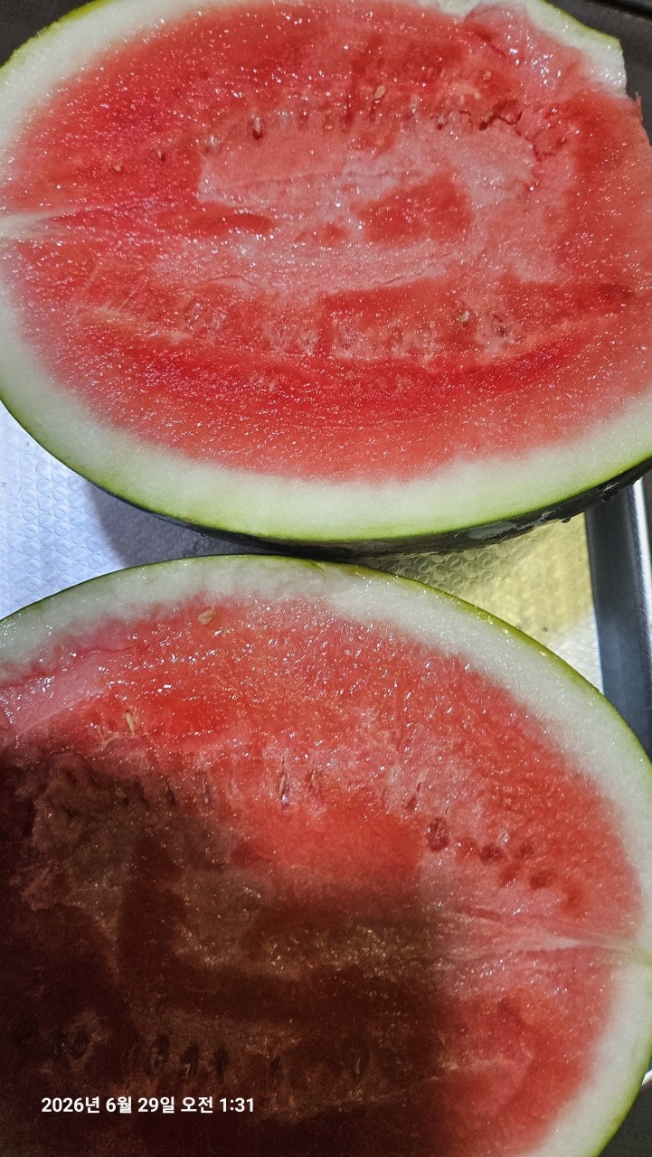 ����ڰ� �ø� �̹���