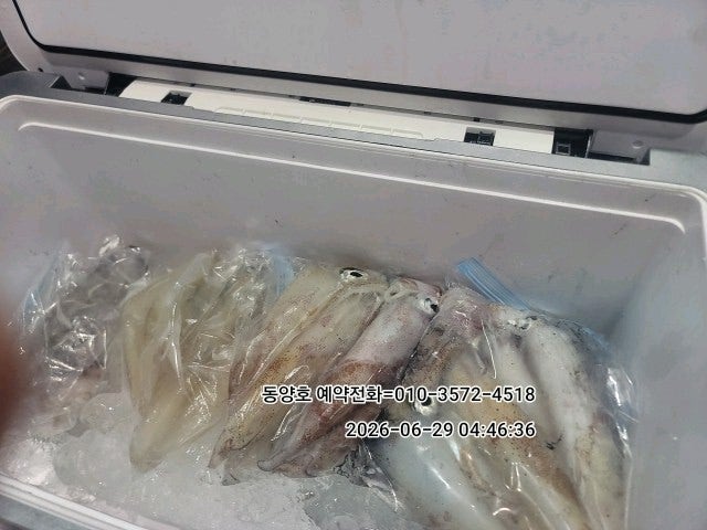 ����ڰ� �ø� �̹���