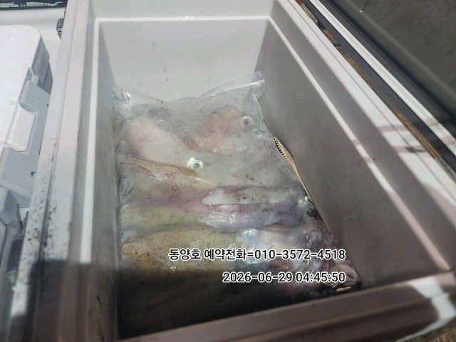 ����ڰ� �ø� �̹���
