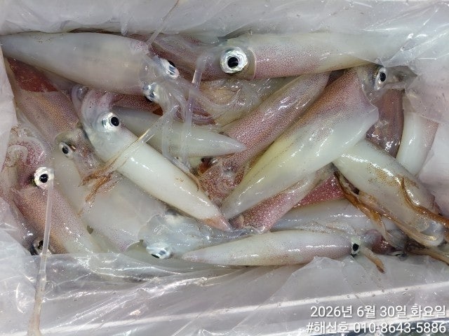 ����ڰ� �ø� �̹���