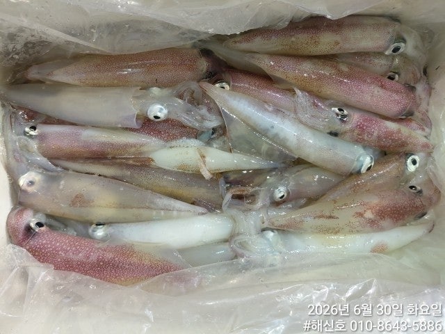 ����ڰ� �ø� �̹���
