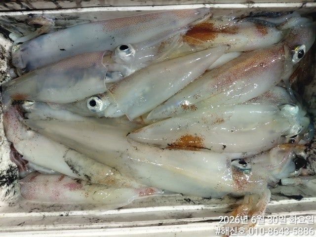 ����ڰ� �ø� �̹���