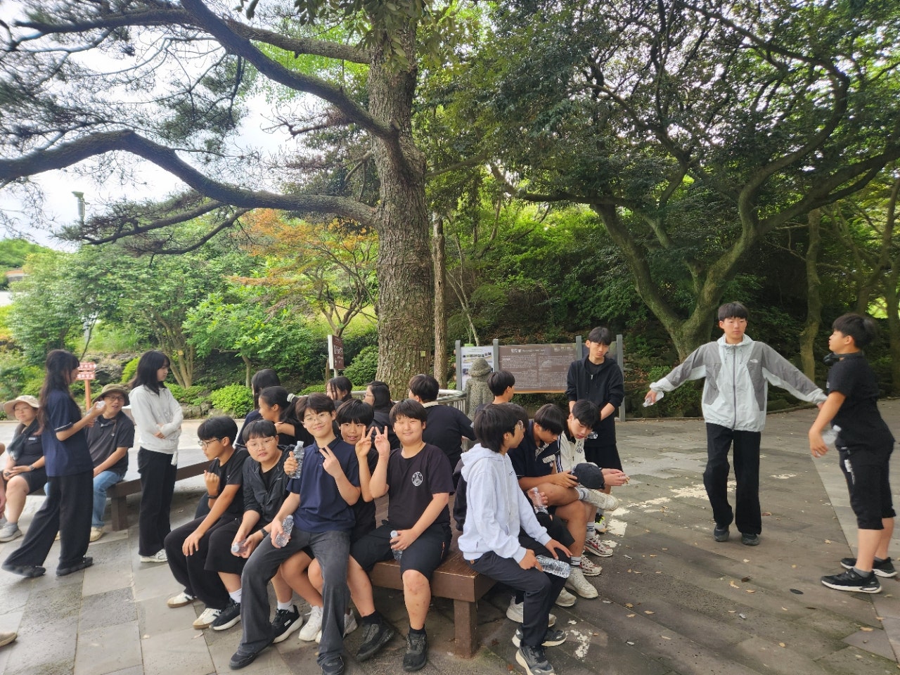 사용자가 올린 이미지