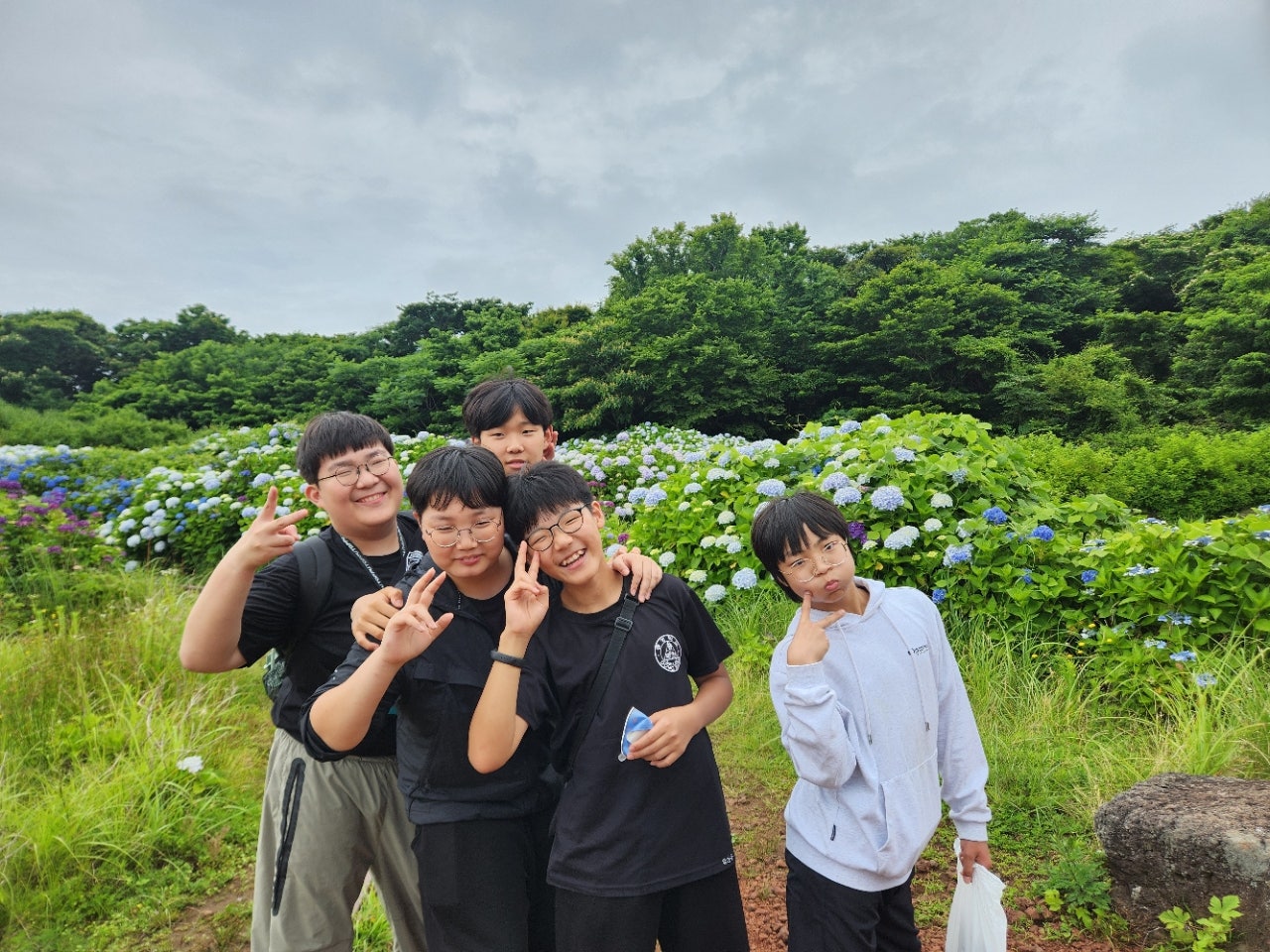 사용자가 올린 이미지