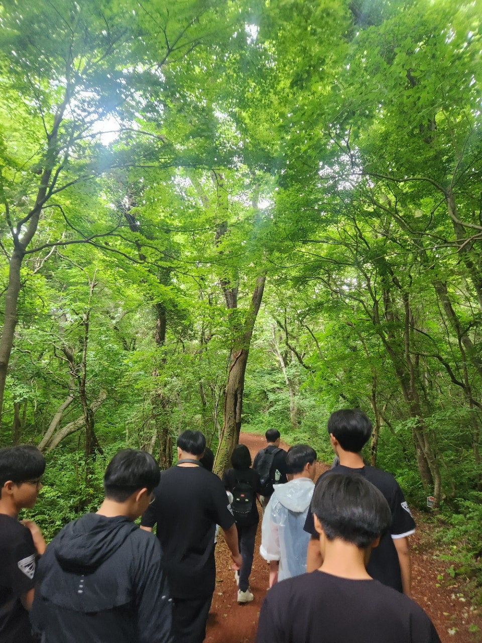 사용자가 올린 이미지