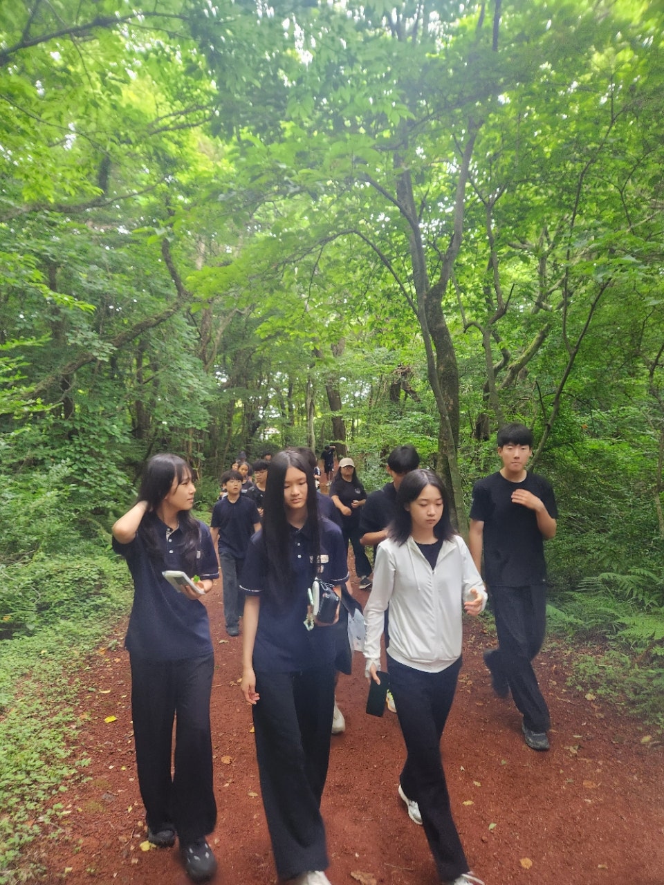 사용자가 올린 이미지