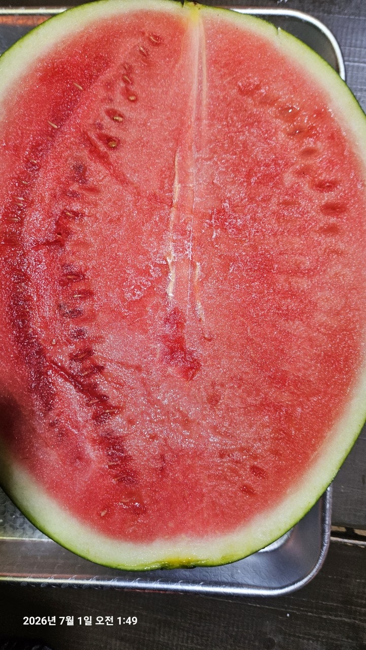 ����ڰ� �ø� �̹���