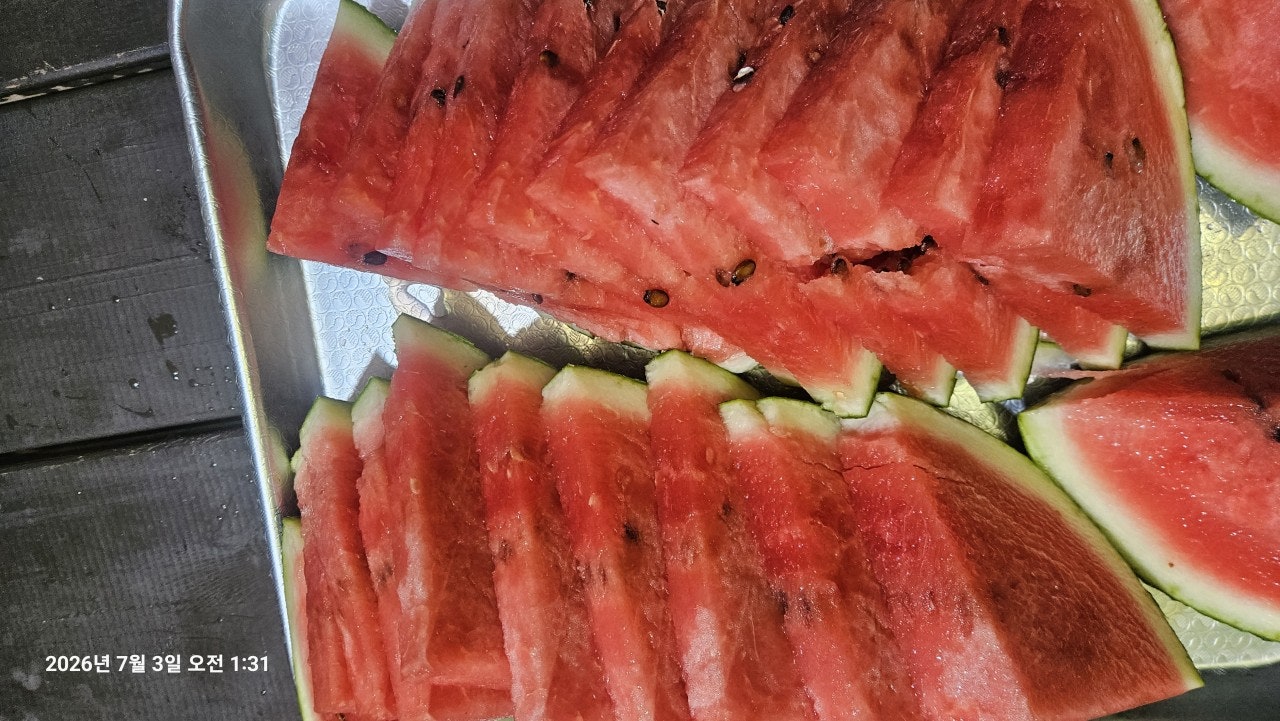 ����ڰ� �ø� �̹���