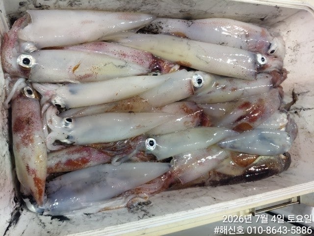 ����ڰ� �ø� �̹���