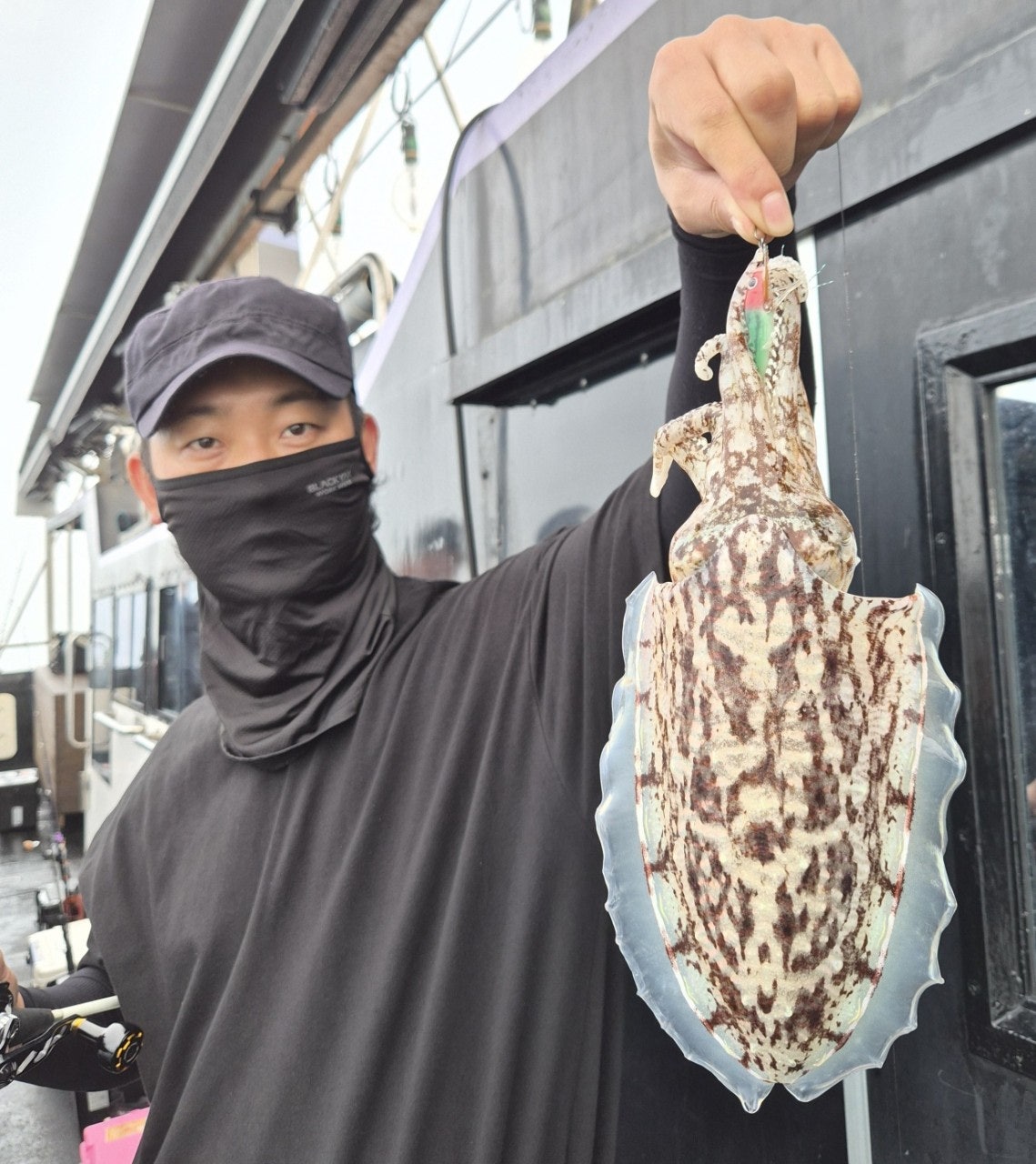 사용자가 올린 이미지