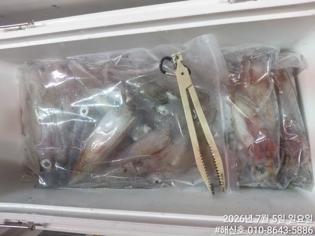 ����ڰ� �ø� �̹���