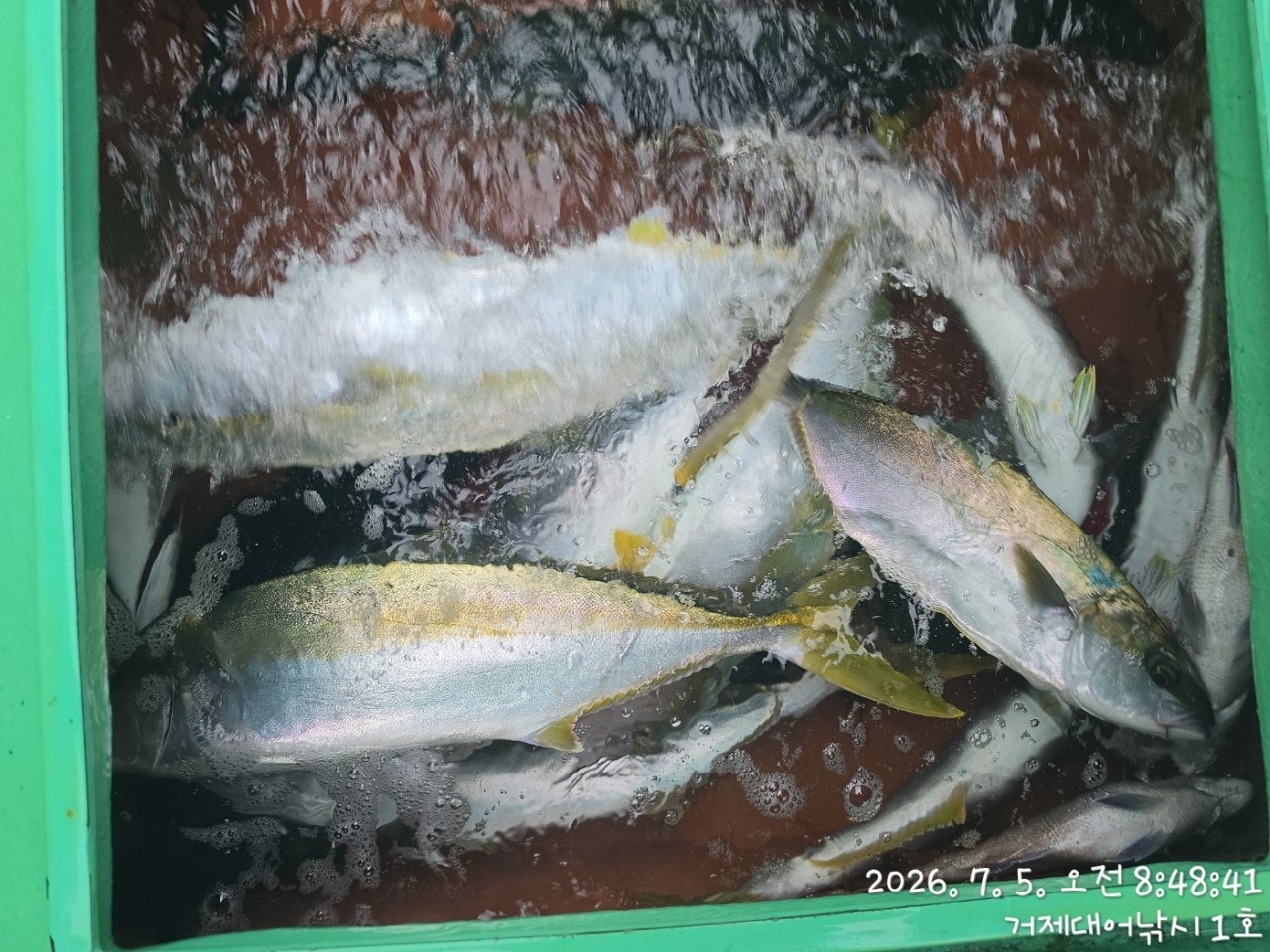 ����ڰ� �ø� �̹���