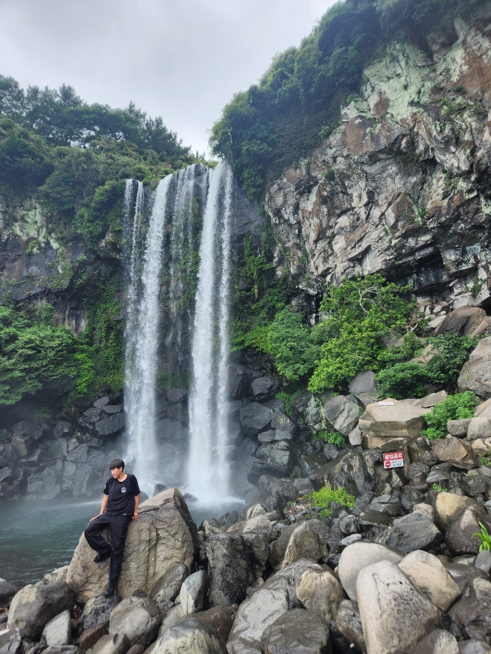 사용자가 올린 이미지