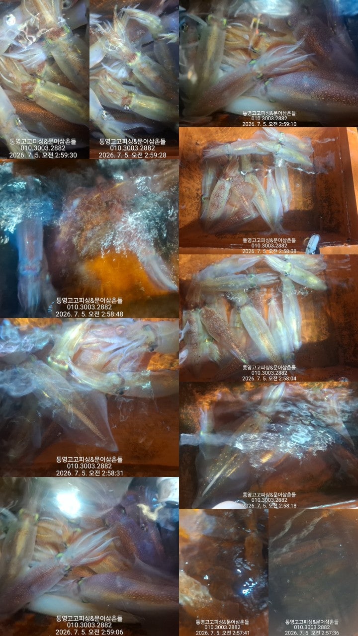 ����ڰ� �ø� �̹���