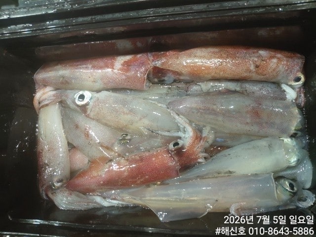 ����ڰ� �ø� �̹���