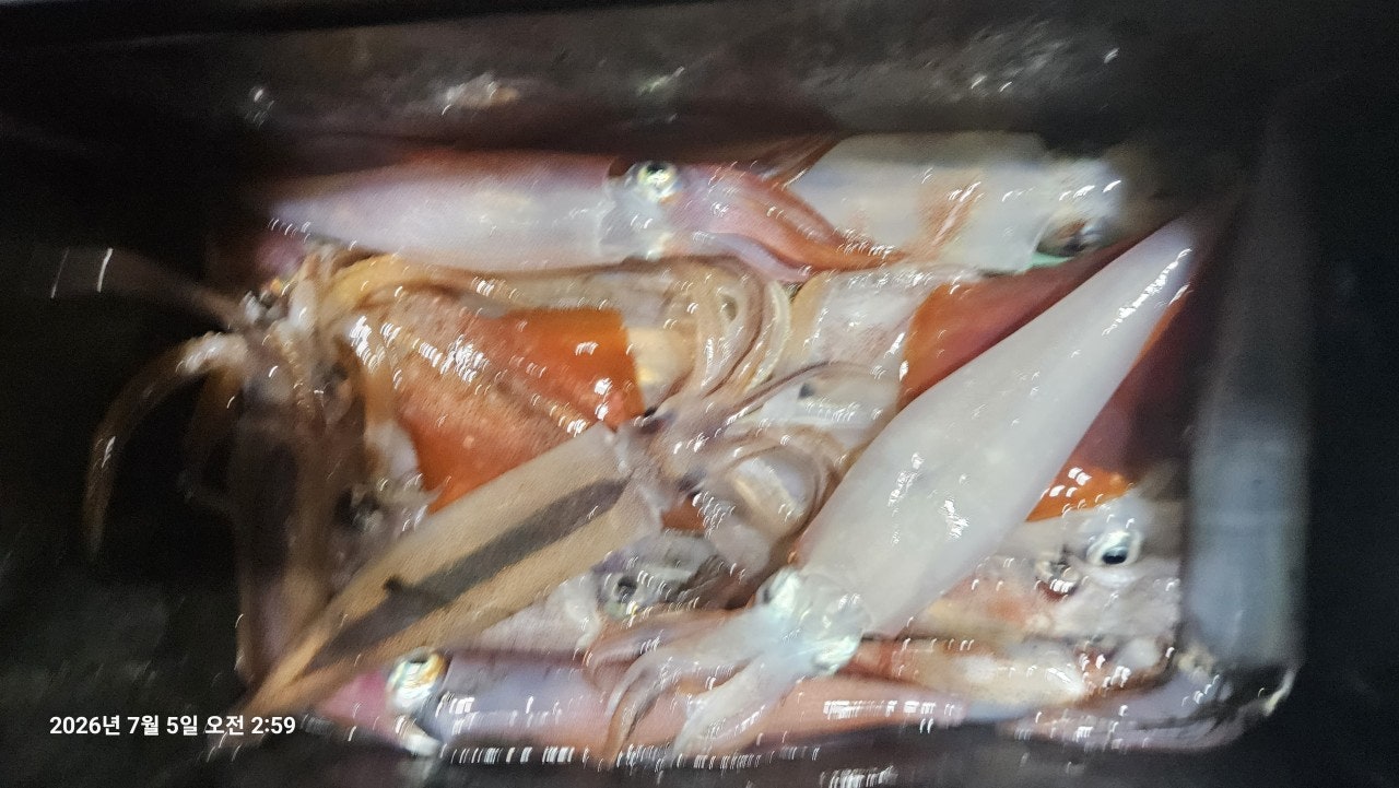 ����ڰ� �ø� �̹���