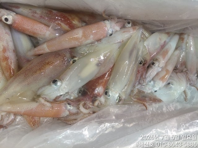 ����ڰ� �ø� �̹���