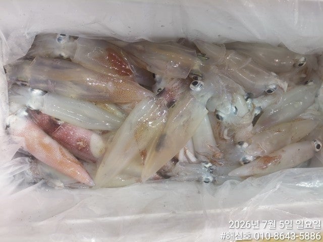 ����ڰ� �ø� �̹���