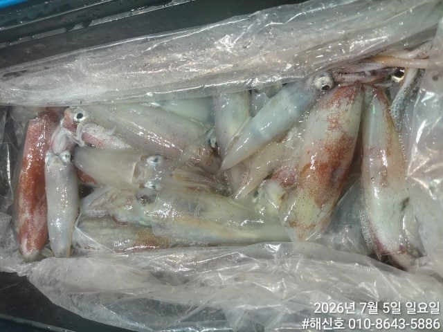 ����ڰ� �ø� �̹���
