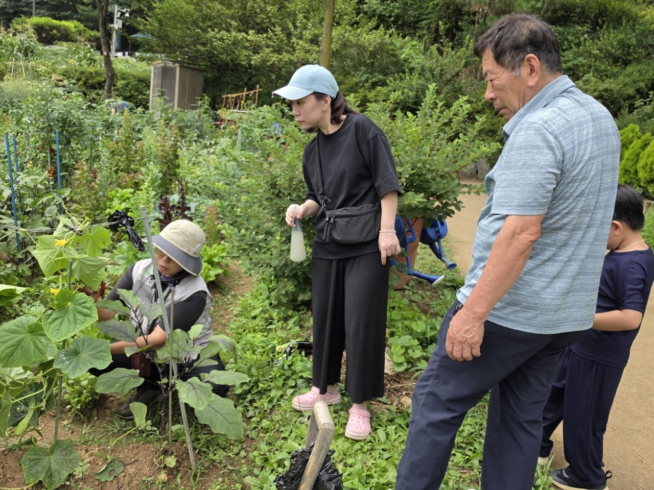사용자가 올린 이미지