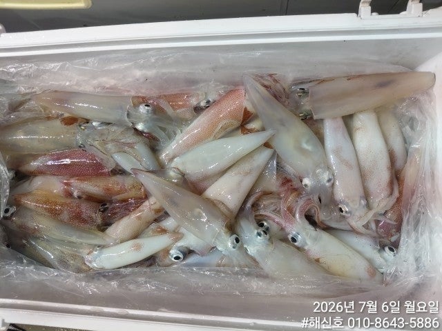 ����ڰ� �ø� �̹���