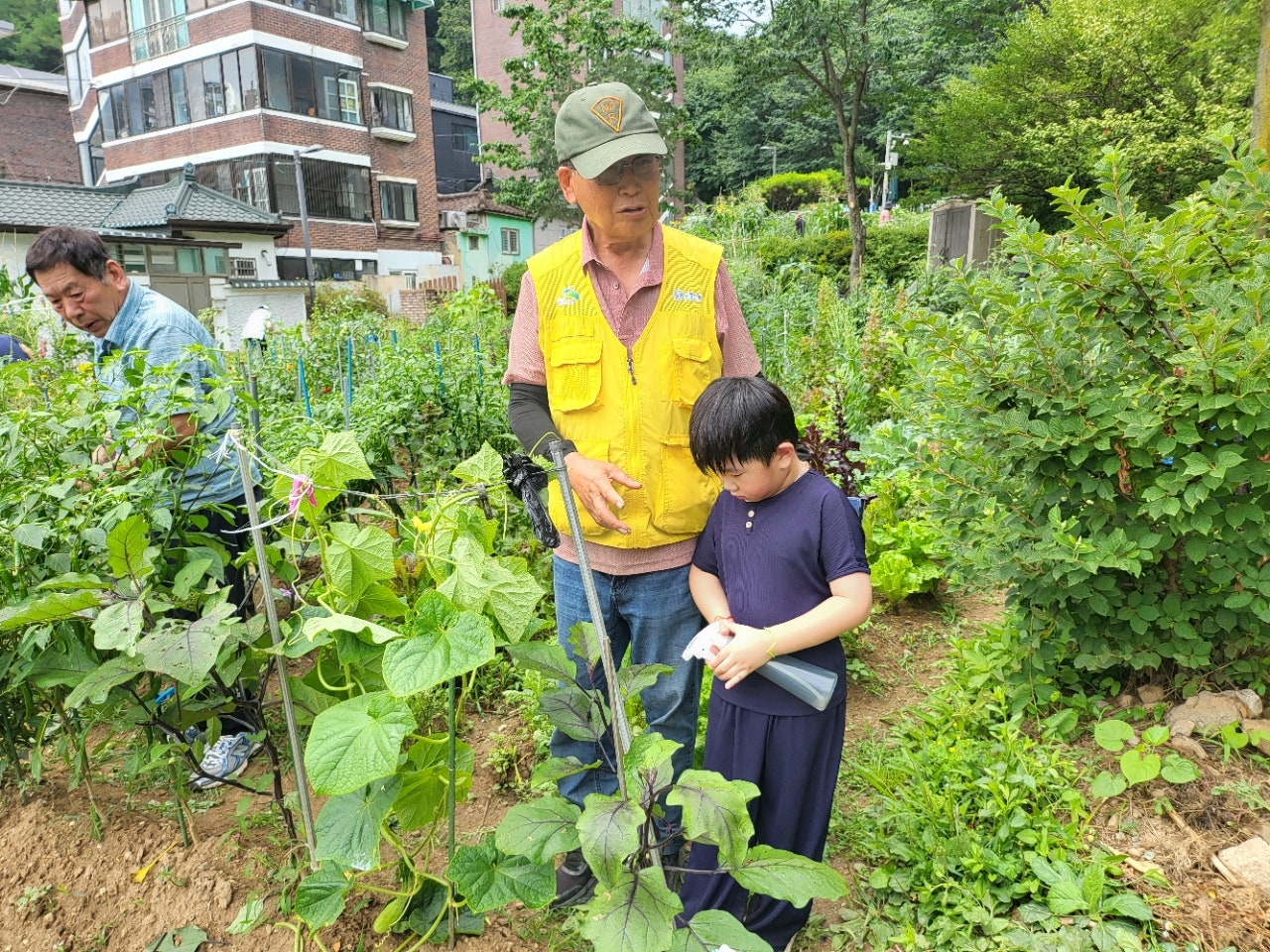 사용자가 올린 이미지