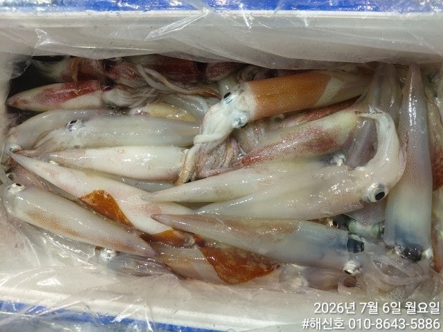 ����ڰ� �ø� �̹���
