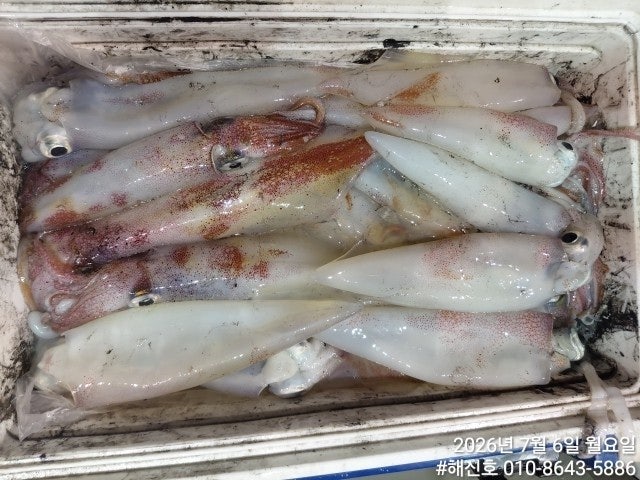 ����ڰ� �ø� �̹���