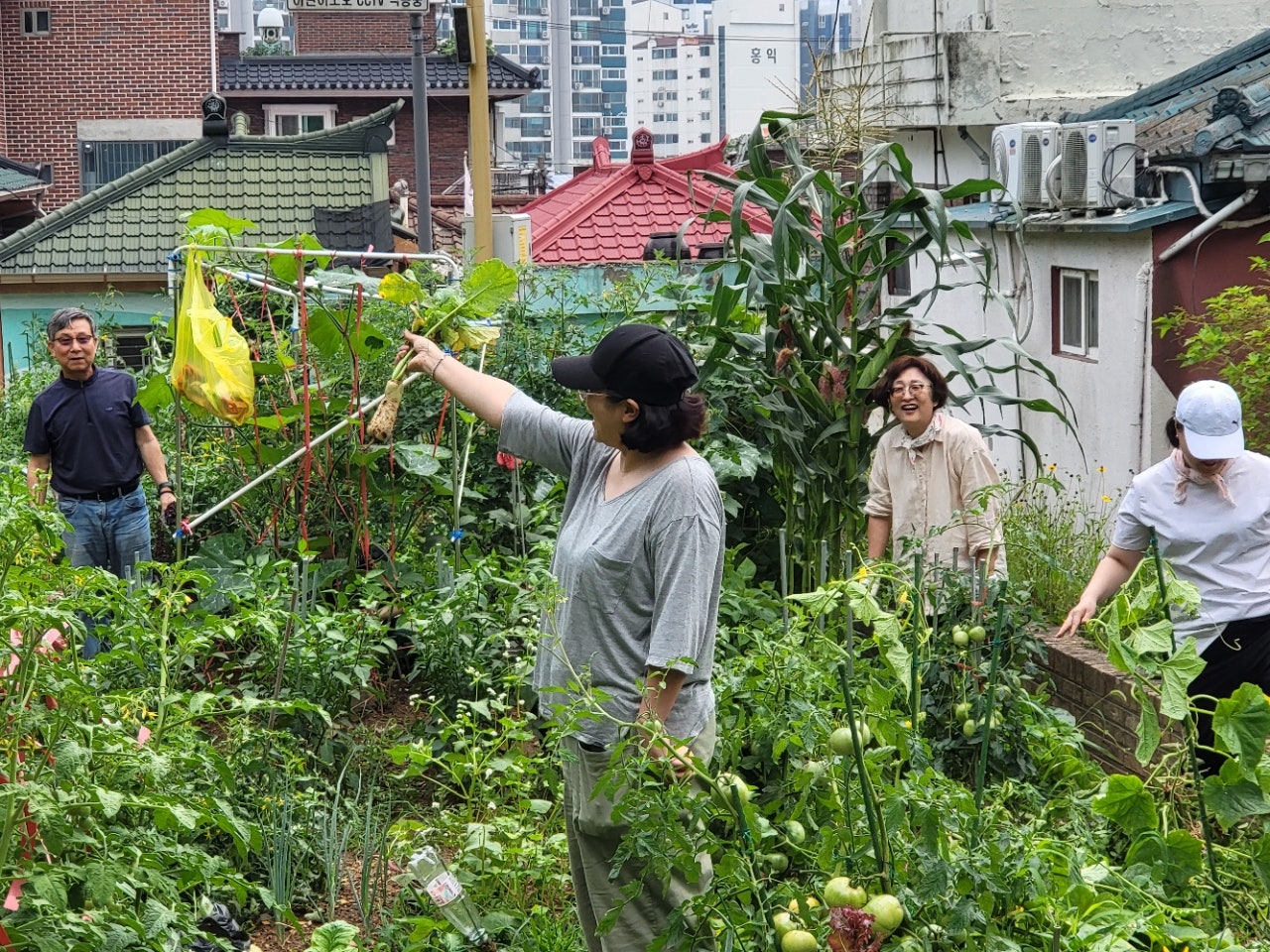 사용자가 올린 이미지