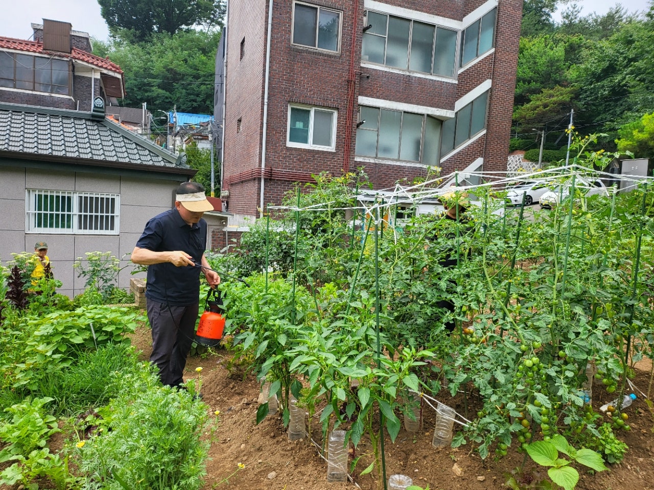 사용자가 올린 이미지
