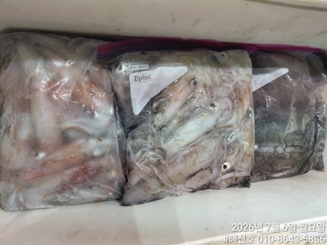 ����ڰ� �ø� �̹���
