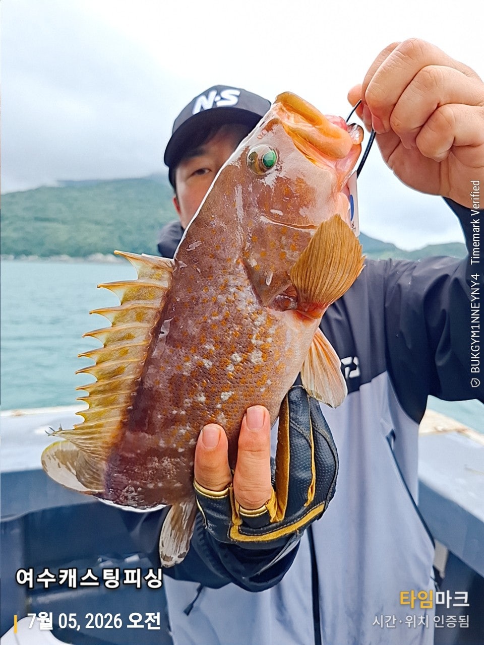 사용자가 올린 이미지
