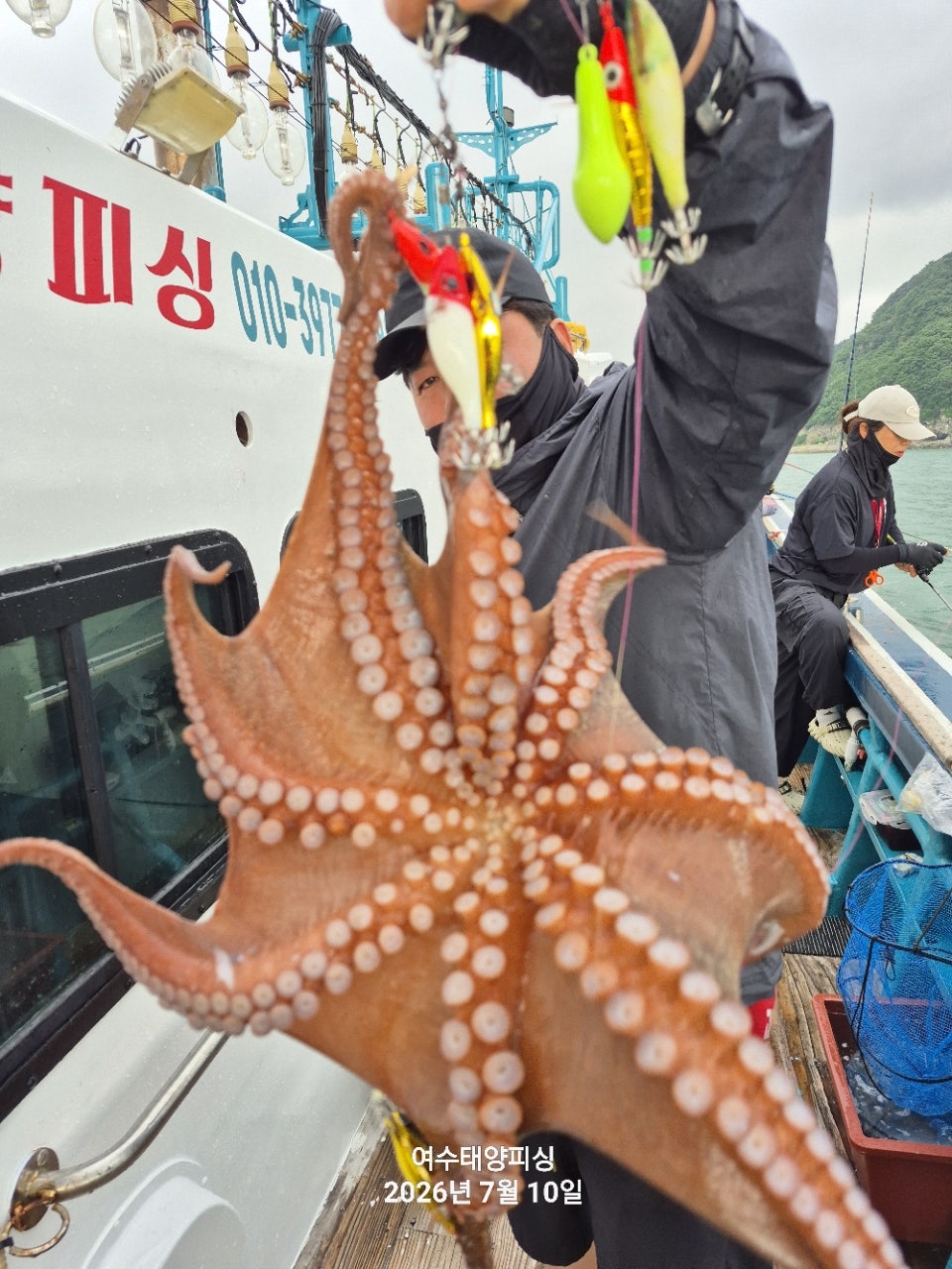 사용자가 올린 이미지