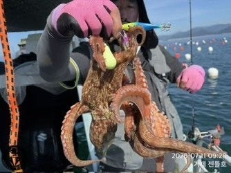 ����ڰ� �ø� �̹���