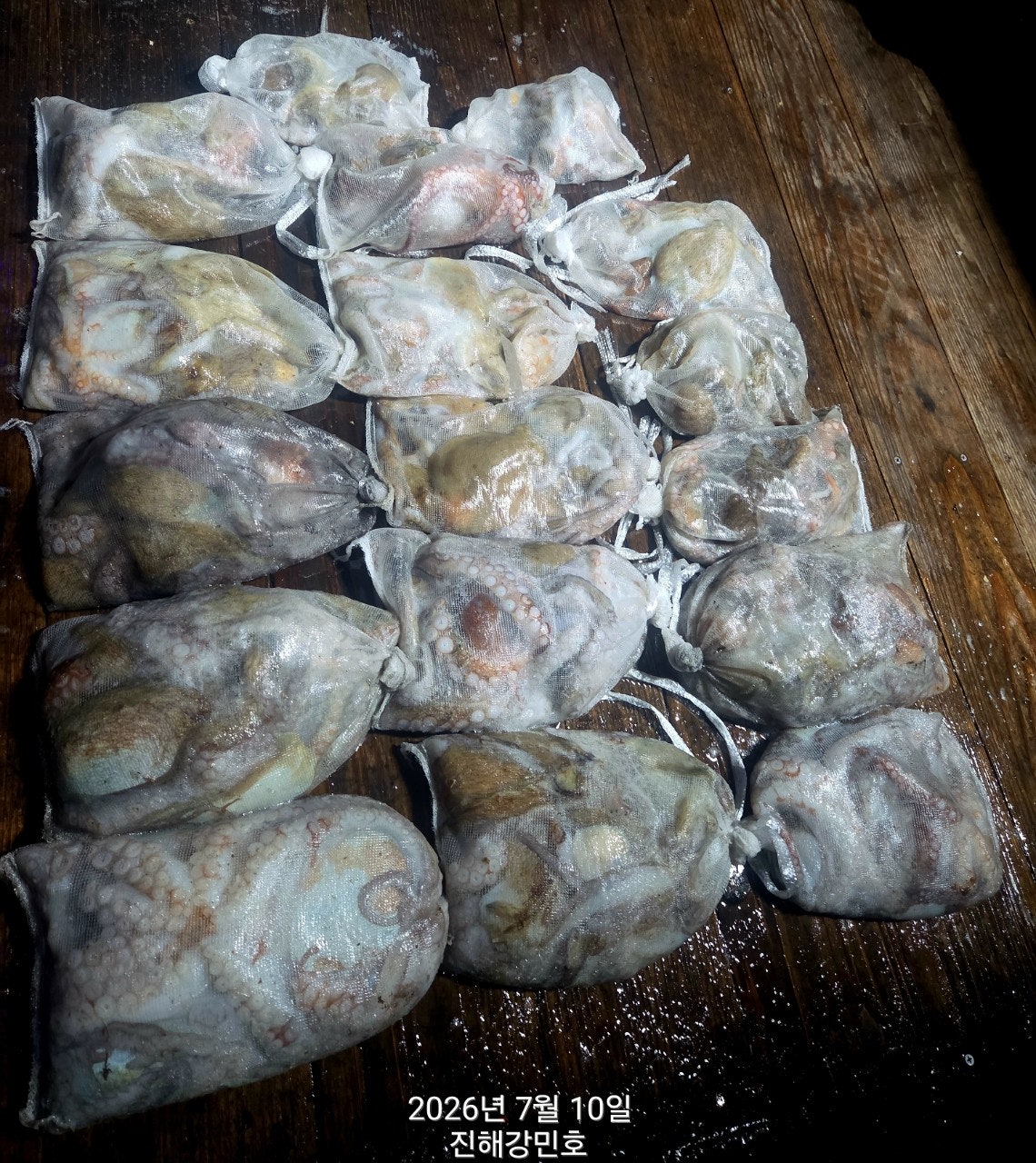 ����ڰ� �ø� �̹���