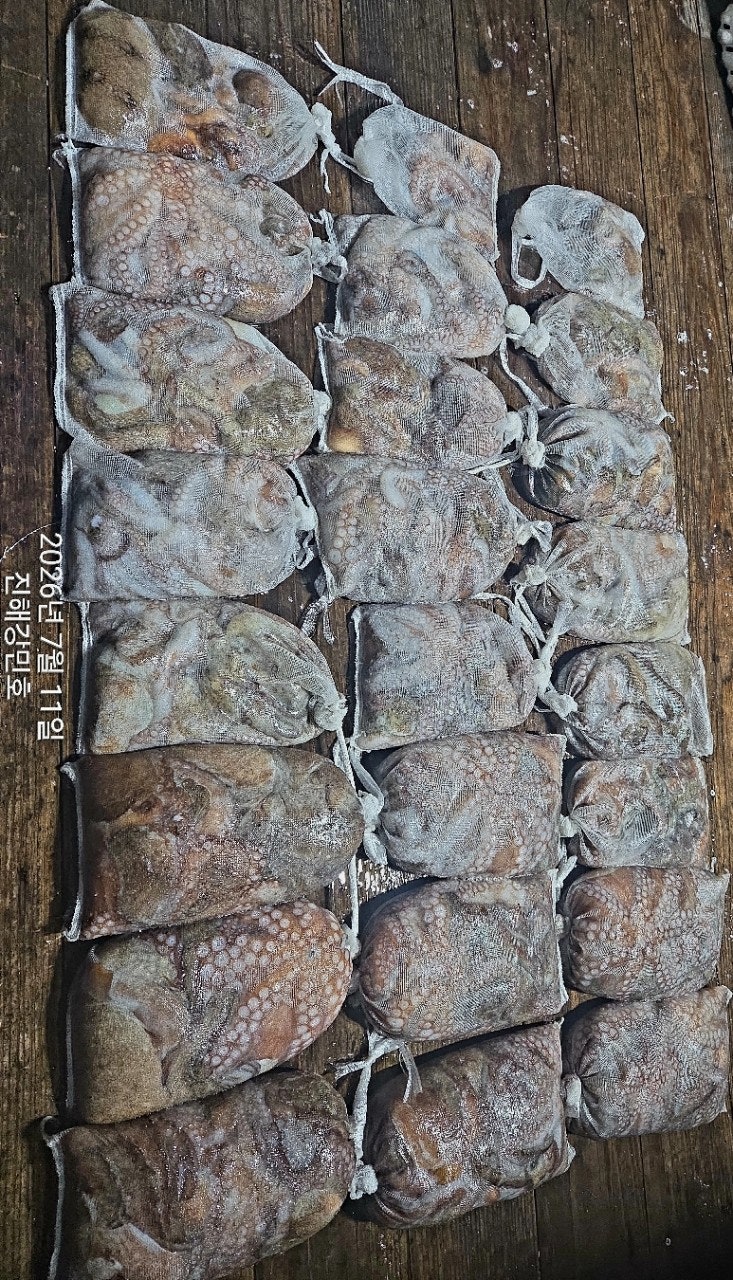 ����ڰ� �ø� �̹���