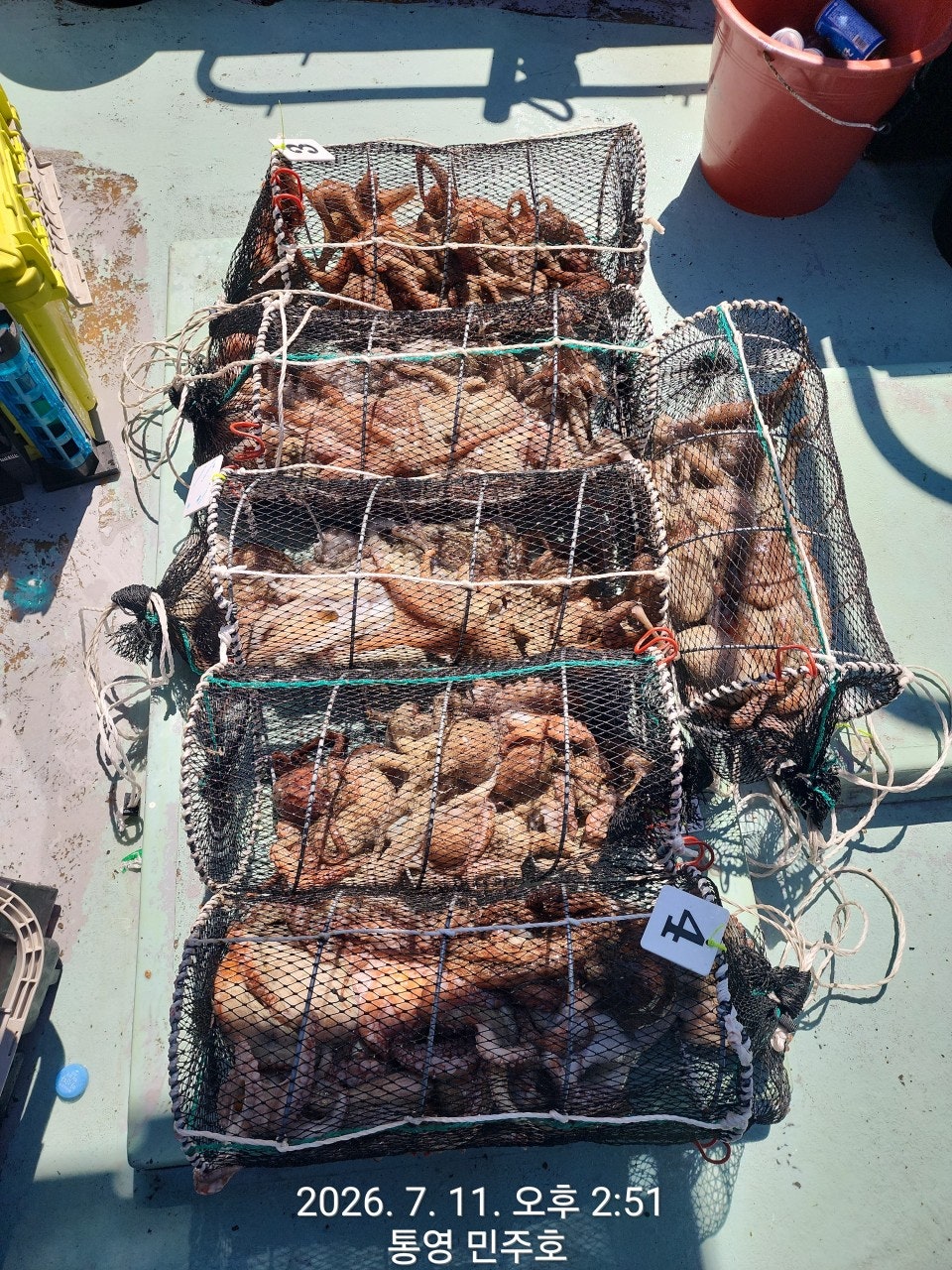 ����ڰ� �ø� �̹���