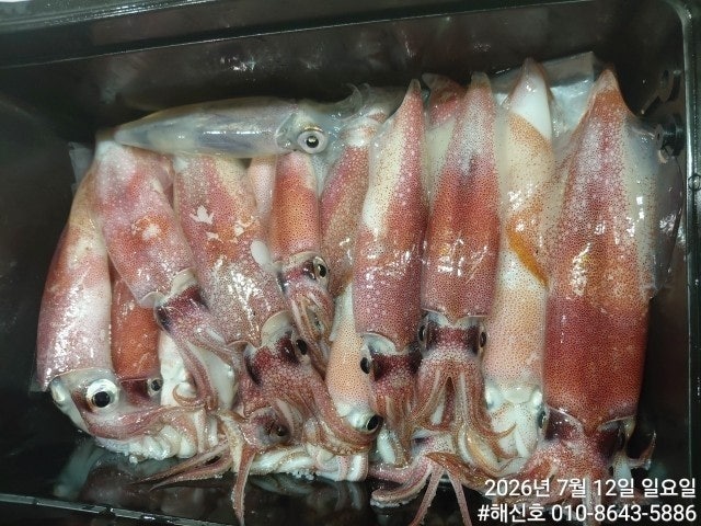 ����ڰ� �ø� �̹���